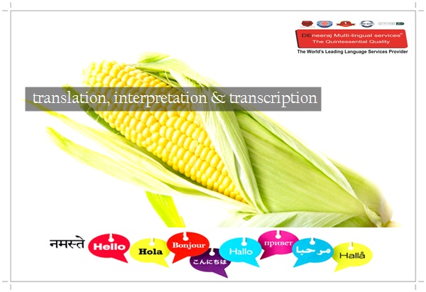 translation, interpretation & transcription services